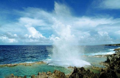 2019年上海泾合-美國塞班島旅遊